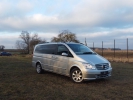 Mercedes Viano