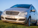 Mercedes Viano