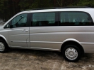 Mercedes Viano