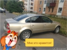 Volkswagen Passat B5