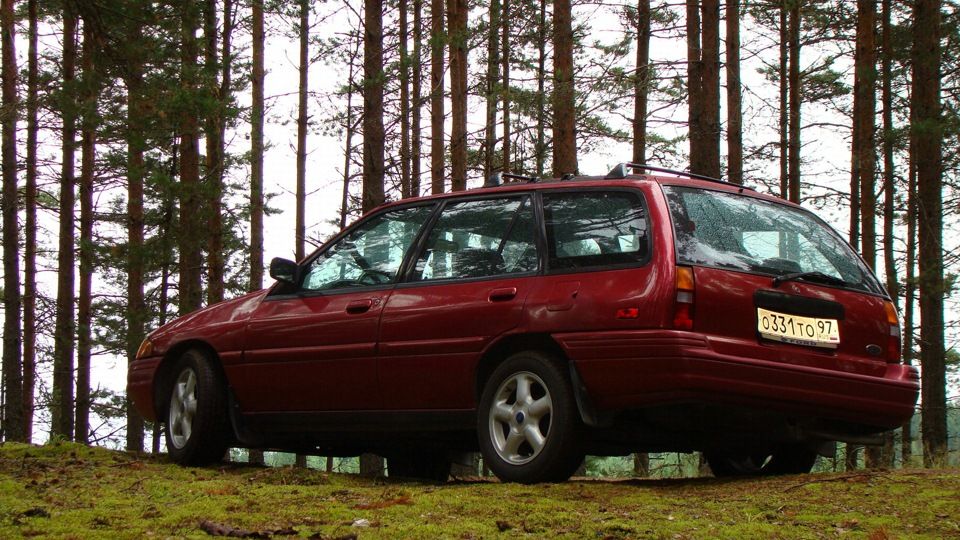 Escort Northern Michigan