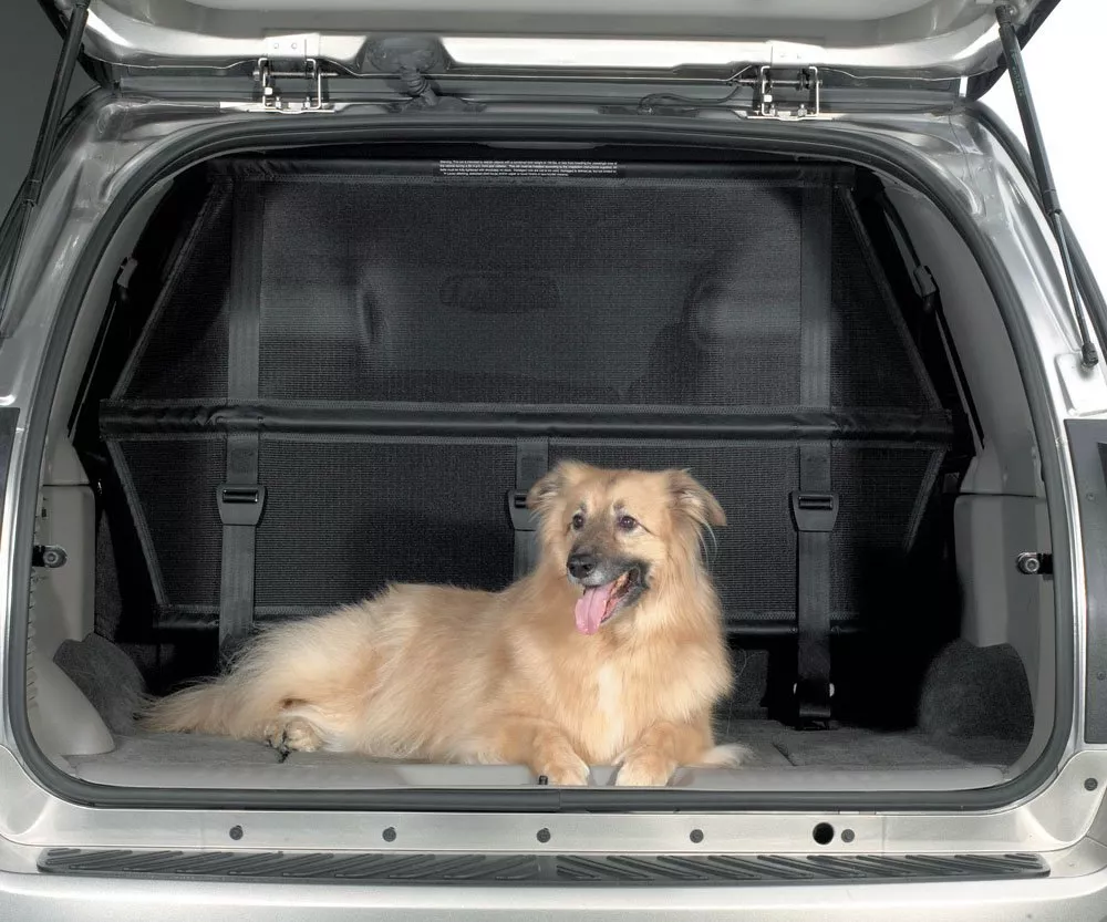 Автомобиль Buick Rainier Внедорожник (5 дверей)